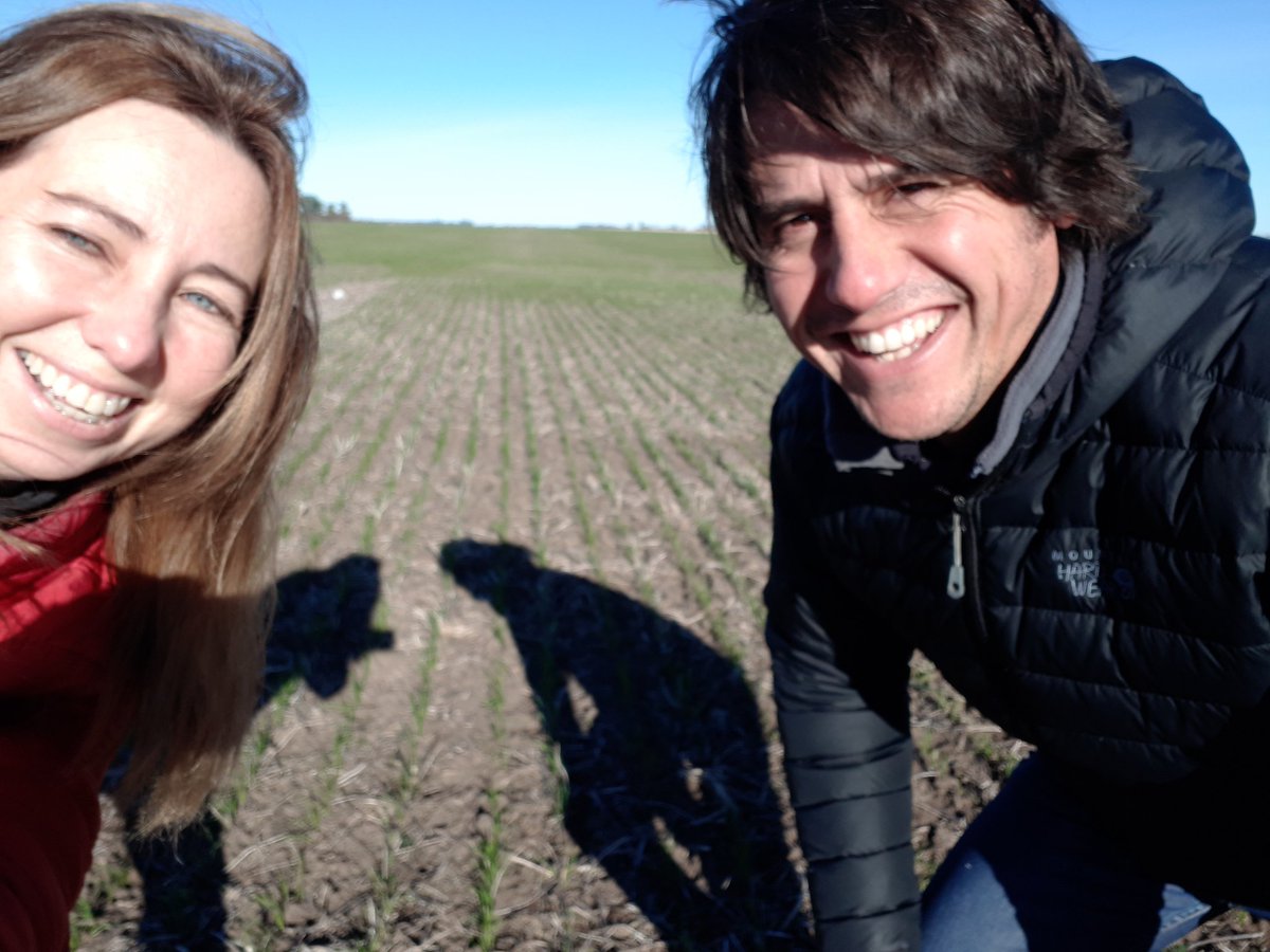 agro_proyect's tweet photo. Frío no te tenemos miedo!!! Recorriendo ensayos de terápicos de semilla con @Syngenta_ar Fer Murillo presente!!! @luciademichelis @ritarobledo https://t.co/scwZKTkcYK