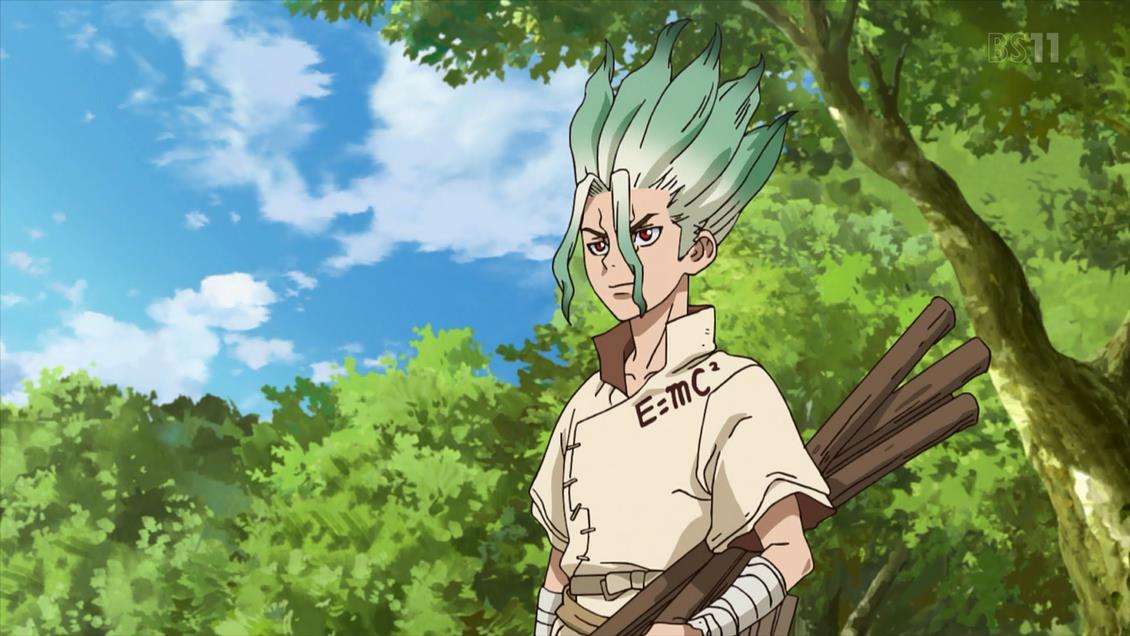 1 стоун. 1 стоун. сенгены доктор стоун.