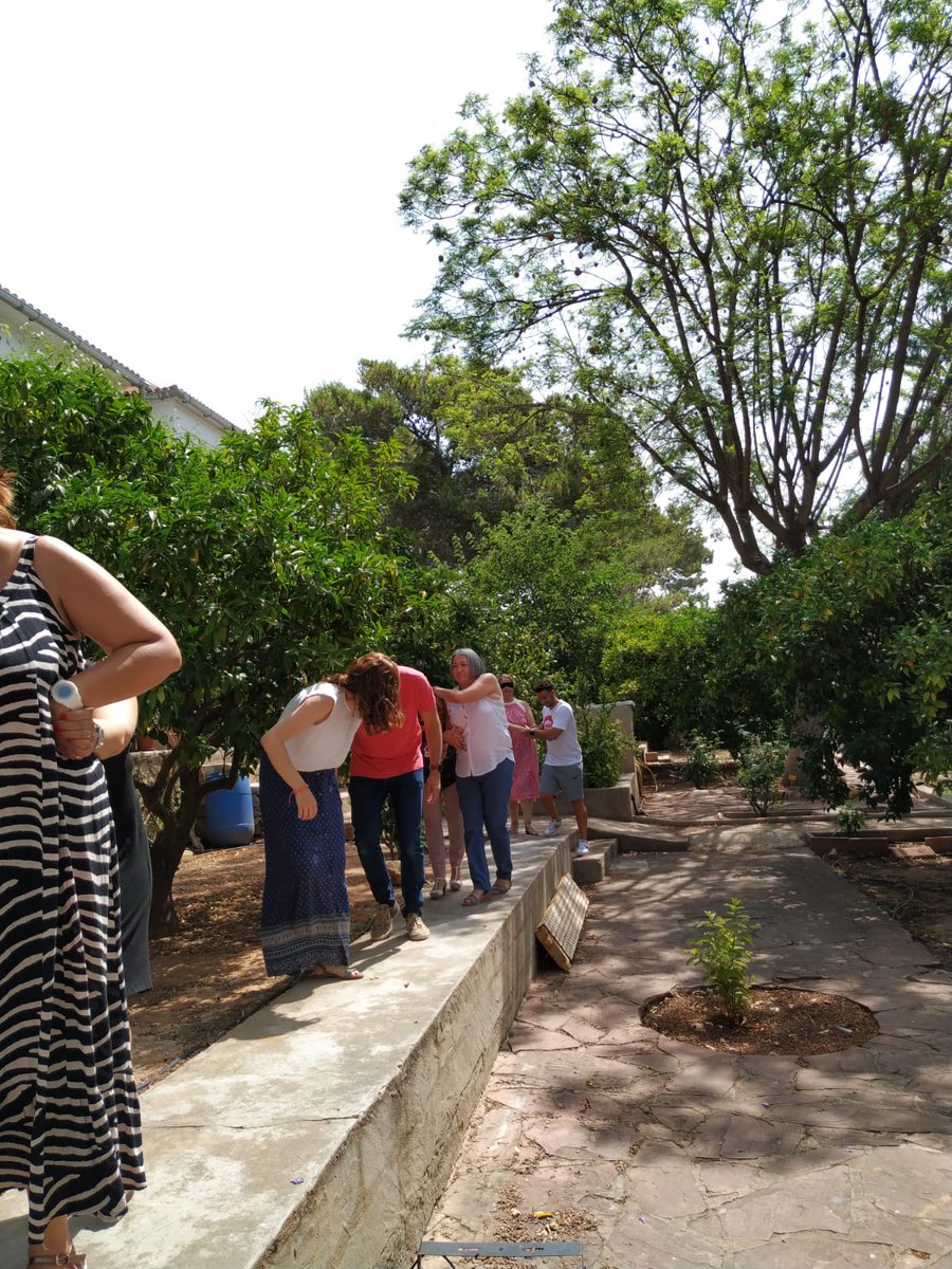 cole_sagrada's tweet photo. Encara que ens queda feina, amb estes imatges del curs de formació que hem fet des de dimecres volem desitjar a tota la CE molt bon estiu 🏄🏖️ @mjcanetgadea74 @ClariCristina @RuizCliment @puri310868 @AngelSAFAM @MaAlicia12 @21artal @merchegarrigues @Inmeta78 @pauandreu07 https://t.co/LpDD71Wno6