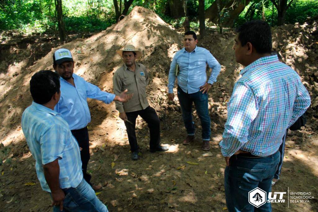 UTSelva2's tweet photo. LA UNIVERSIDAD TECNOLÓGICA DE LA SELVA SE DECLARA LISTA PARA REFORESTAR CHIAPAS DE LA MANO DE TODOS 
Director General de Instrumentación Técnica del Programa Sembrando vida, Ing. Julio C. Jerónimo Castillo; declaro listas las producciones y cosecha de plántulas. https://t.co/k2KPEBx9Zu