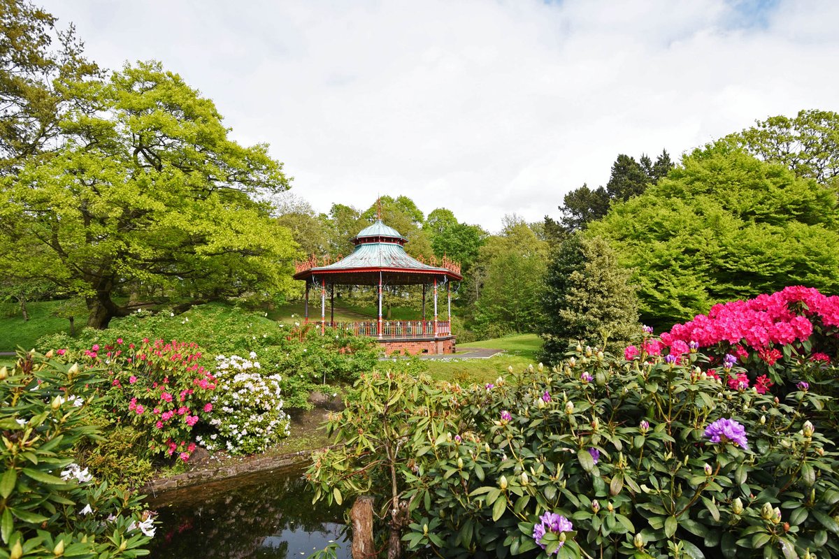 ILoveSeftonPark's tweet photo. Do you love Sefton Park?   Then show it and Vote for us in @FieldsInTrust UK’s Best Park 2019! https://t.co/cOAMJMNsfi 
#LoveYourLocalPark     #iLoveSeftonPark   
Pls RT, the more votes, the merrier! https://t.co/Qrzh51JkQT