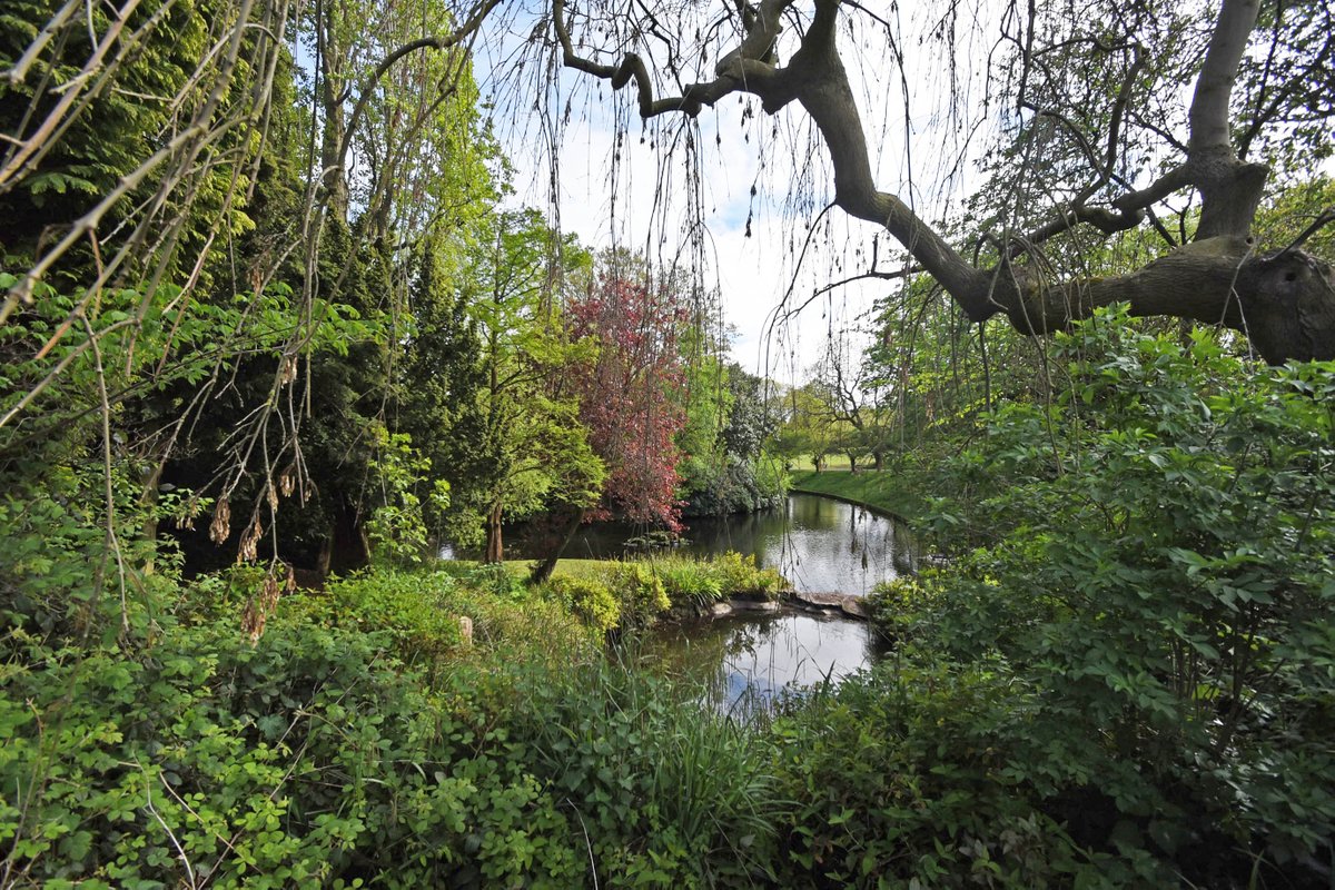 ILoveSeftonPark's tweet photo. Do you love Sefton Park?   Then show it and Vote for us in @FieldsInTrust UK’s Best Park 2019! https://t.co/cOAMJMNsfi 
#LoveYourLocalPark     #iLoveSeftonPark   
Pls RT, the more votes, the merrier! https://t.co/Qrzh51JkQT