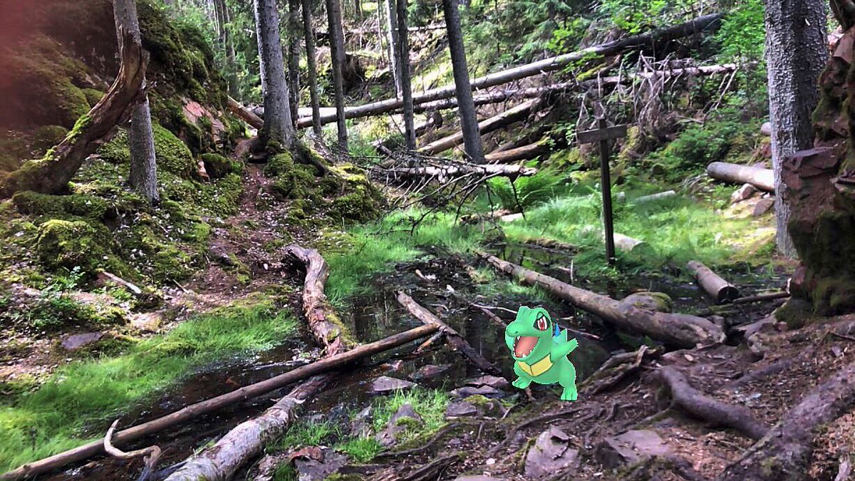 PokeGoLidingo's tweet photo. Took some AR photos in their natural habitat :) https://t.co/F2DULfyYIF