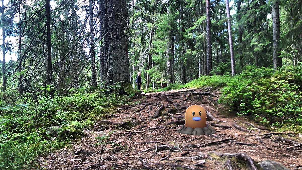 PokeGoLidingo's tweet photo. Took some AR photos in their natural habitat :) https://t.co/F2DULfyYIF