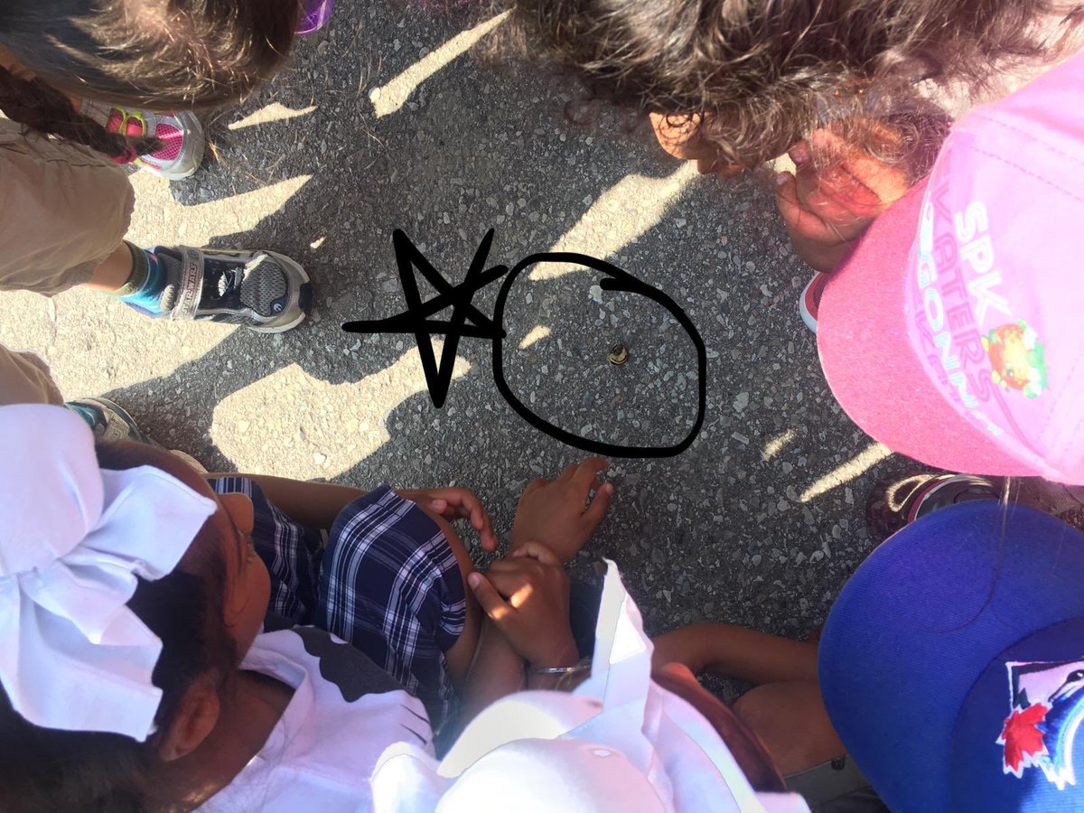 inc_roots's tweet photo. Finding snails on our Kinder Nature Walk @inc_roots #campfocus2019
@CastlemorePS https://t.co/fQ3XfuspLm