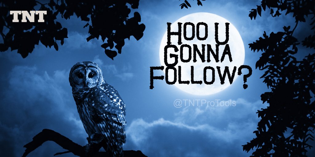 These Peeps Are A Hoot - <a href="/SkyHighVibe/">Sky High Vibe</a> <a href="/Bobby6740/">Bobby G Put God First</a> <a href="/EstesGroup/">EstesGroup - ERP, Managed IT & Cloud Services</a> @saferprint <a href="/tommyspannerman/">mechyman 🏴󠁧󠁢󠁳󠁣󠁴󠁿 🇪🇺🇺🇦</a> <a href="/CarolynNewsom/">Carolyn Newsom</a> <a href="/vernsanders/">Vern Sanders</a> <a href="/twizmwhytepiece/">#TwpNation</a> @ThalaBeratung @frefreddiehaut3 <a href="/AZMetals/">AZ METALS</a> <a href="/KJWire/">KJ Wire</a> <a href="/Delerium65/">The Delerium Trees</a> <a href="/Clarisecroix/">Clarise De La Croix</a> <a href="/americorpusa/">Americorp Financial</a> @BillGarlandSpkr <a href="/garyhulme1812/">Gary Hulme</a> <a href="/er509939/">Resin 8 ⭐⭐⭐ 🇺🇸</a> <a href="/ArchCricket/">ArchCricket</a>