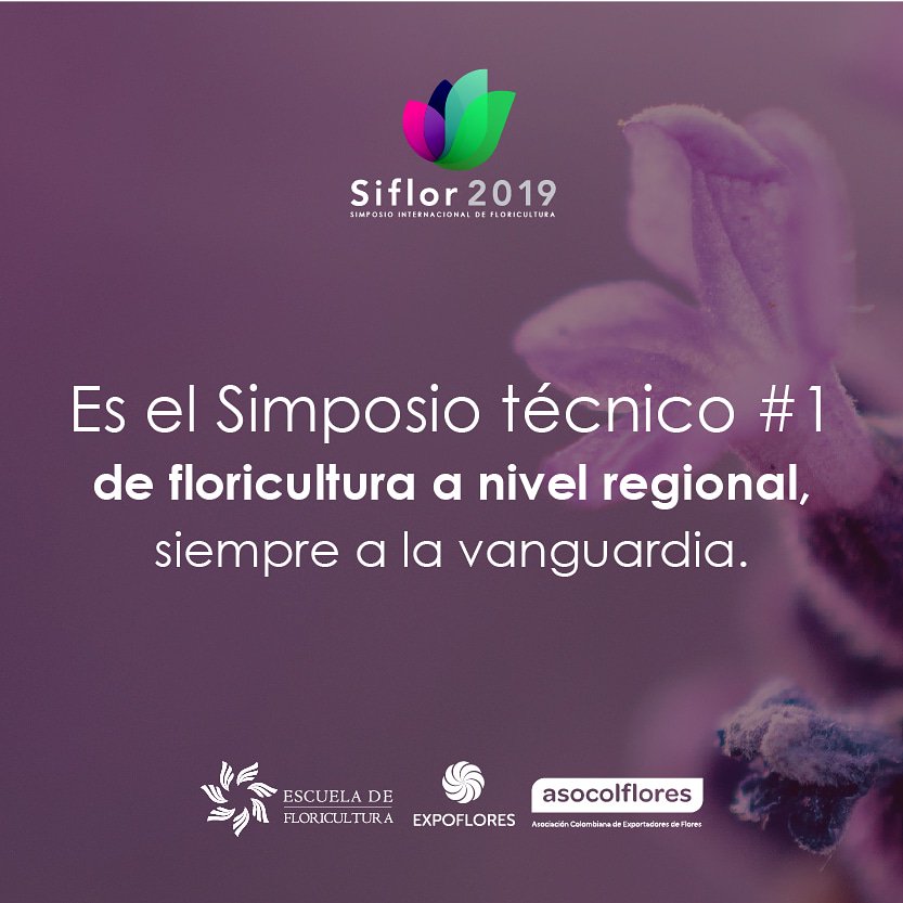 escfloricultura's tweet photo. Lanzamiento oficial del simposio internacional, Siflor 2019.
¡Espéralo!
#escuela #negocios #Ecuador #Expoflores #estrategia #siflor #green #business #negocios #charla #conferencia #industria #aprendizaje #siflor2019 https://t.co/zkGim6a31s