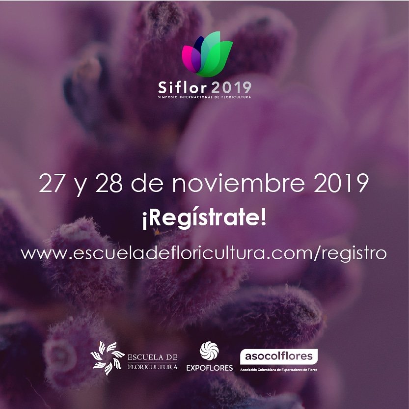 escfloricultura's tweet photo. Lanzamiento oficial del simposio internacional, Siflor 2019.
¡Espéralo!
#escuela #negocios #Ecuador #Expoflores #estrategia #siflor #green #business #negocios #charla #conferencia #industria #aprendizaje #siflor2019 https://t.co/zkGim6a31s