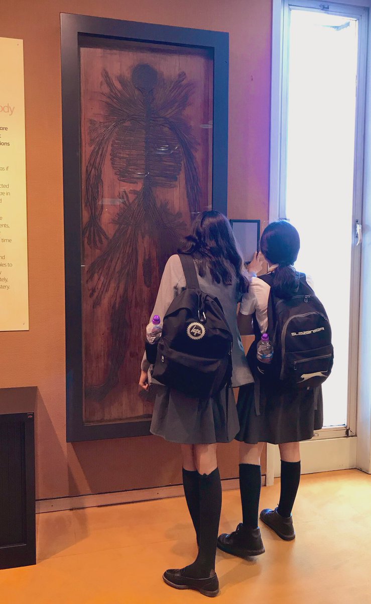 RCP museum on Twitter "With East London Science School this afternoon