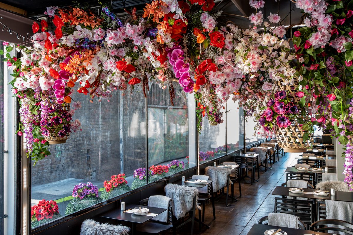 DesignMyNight's tweet photo. #DMNOffer: Want half-price drinks and dim sum? Well @pingpongdimsum are offering just that - the only problem will be trying to resist going five days in a row https://t.co/keunBQGaqt https://t.co/or8VJT58Kp