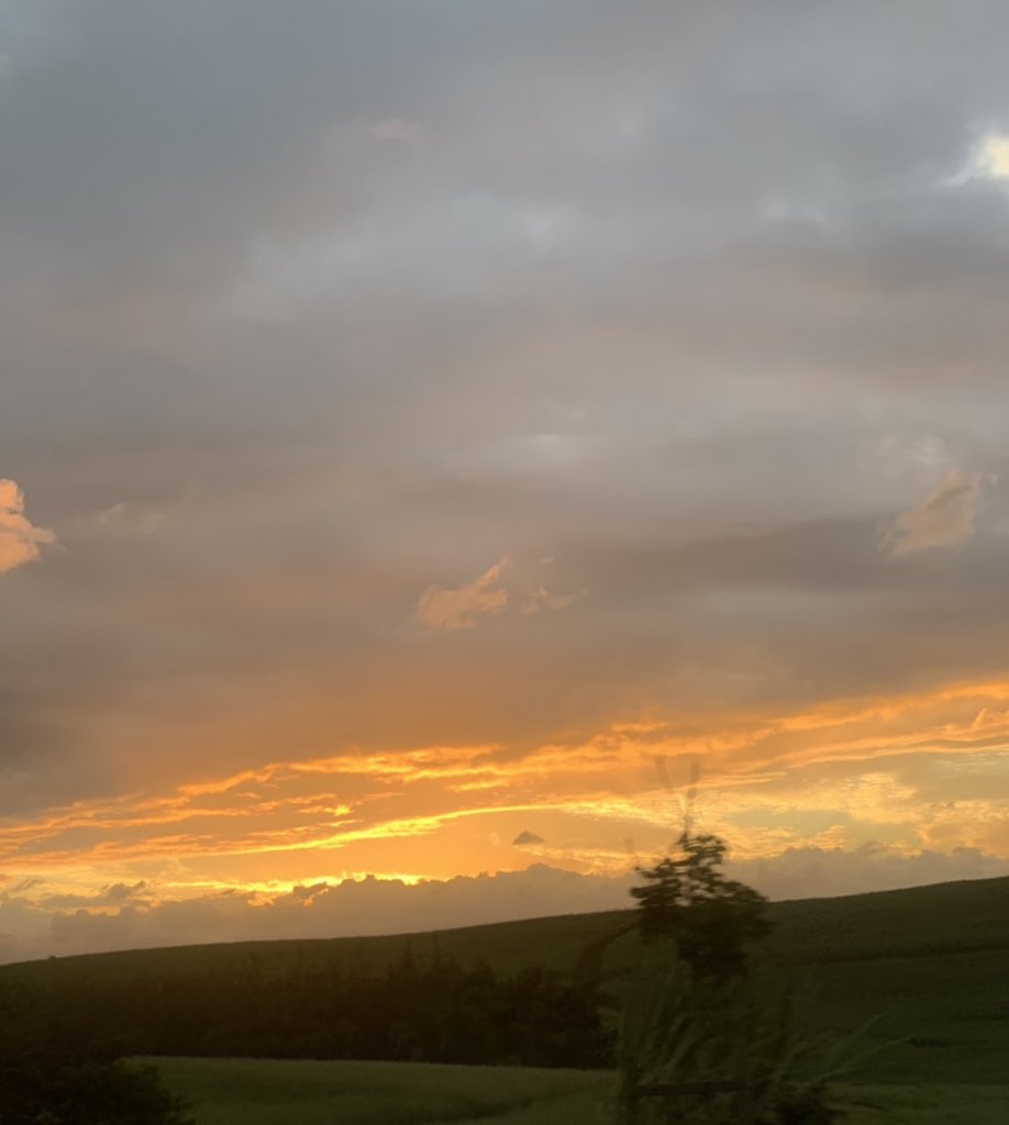 ghausiyaaa's tweet photo. I wish I could just give nature a big hug coz it always makes me so so happy 😭🤲🏻✨💞 https://t.co/71AndPTFzA