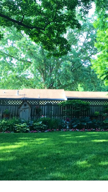 Robertanews's tweet image. English Gardens has a free seminar tomorrow (Saturday) “Top 20 Garden Tips.”  All stores.  10-11 am. #Imgoing