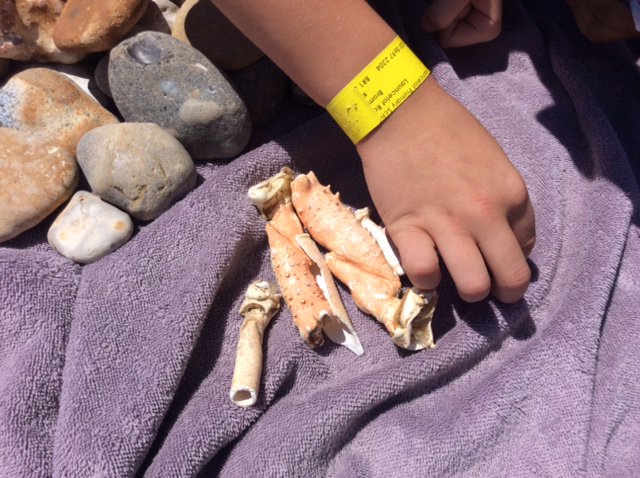 Launcelot Primary tweet media