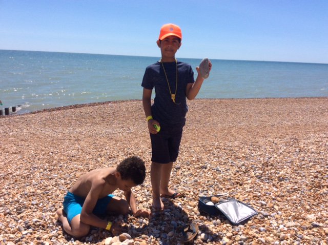 Launcelot Primary tweet media