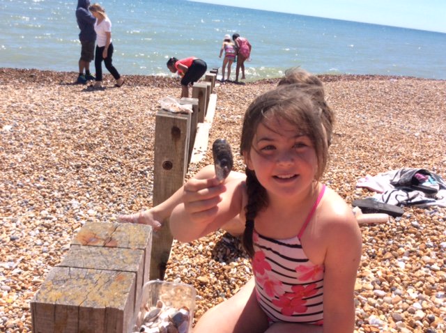 Launcelot Primary tweet media