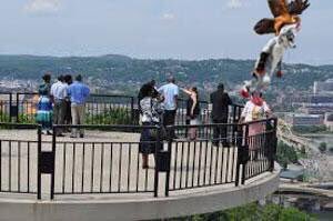 Fake_KDKA's tweet photo. Falcon grabs Furry from Mt. Washington overlook. More at 11. https://t.co/PfNqZYnqJ3