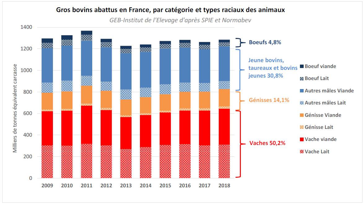 PhilChotteau's tweet photo. Le risque de dévalorisation des aloyaux, suite à l'accord UE-Mercosur, affectera TOUS les producteurs bovins, allaitants et laitiers. Les éleveurs laitiers et mixtes produisent la moitié des femelles (vaches &amp; génisses) en France en 2018. https://t.co/knA3V53ers