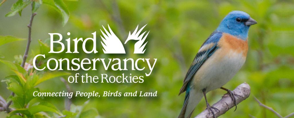DENAirport's tweet photo. Join us today from 11:30 a.m.-12:30 p.m. on the Park on the Plaza to hear from the Bird Conservancy of the Rockies 🐦 ! This Fly Away Friday, learn about conserving birds and their habitats through science, education and land stewardship 🦅 #DENevents https://t.co/lV9Fiq5blH