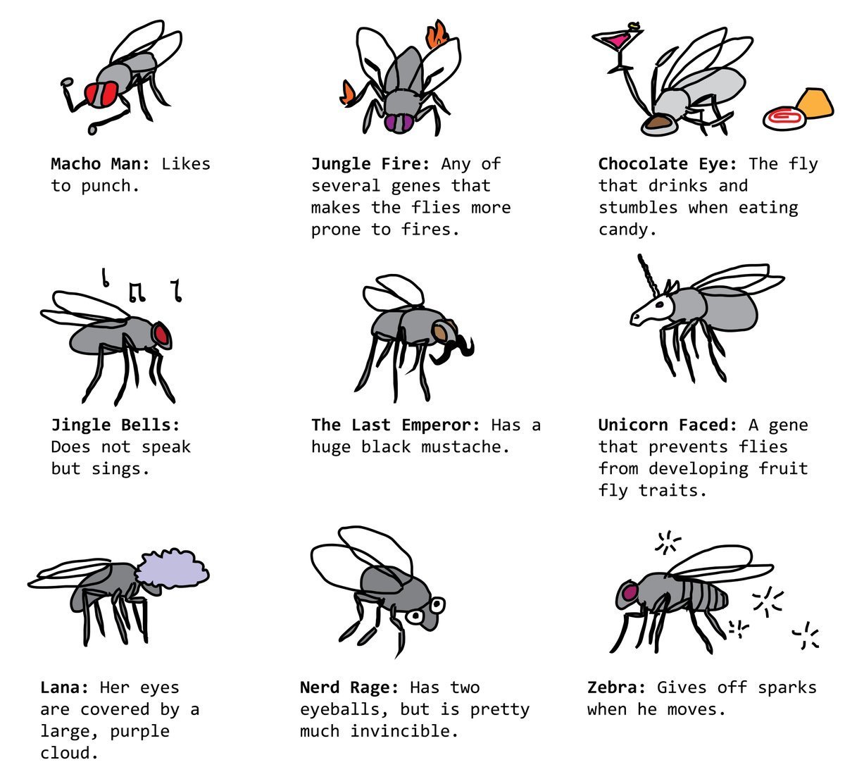 Cory Doctorow @pluralistic@mamot.fr on X: Mutant fly strains invented by a  neural net   / X