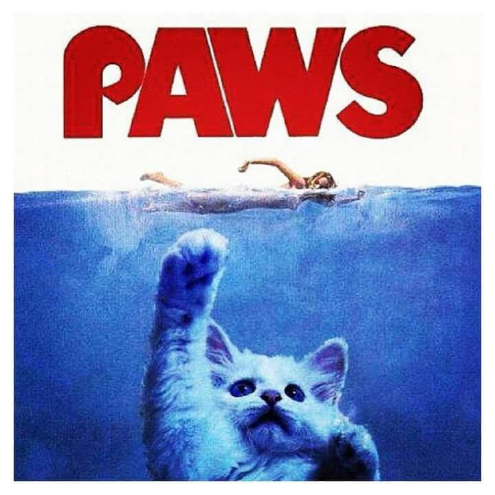 Centrion4's tweet photo. #dogandcatmovies 

Paws https://t.co/ZFHmYoKT80