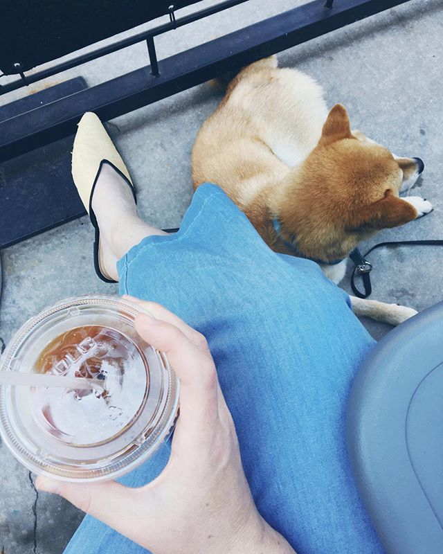 lynneaclare's tweet photo. We’ve got a new city to explore and lots of coffee to drink. ☕️💙✨ https://t.co/lpMXwpAonh