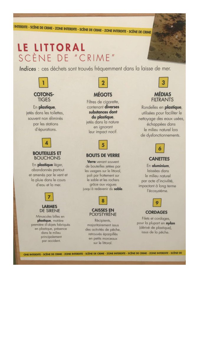 Nous avons rencontré Surfrider, référence dans le combat pour la protection des océans, afin de nous sensibiliser davantage à cette cause qui nous tient à coeur🐬. Un grand bravo pour leur initiative 👏🏼<a href="/Surfrider/">Surfrider Foundation</a>