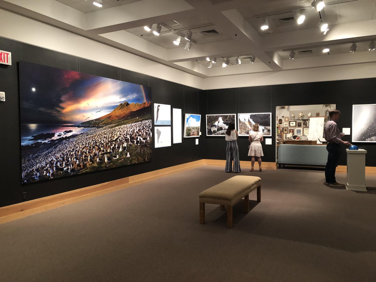 NatGeoMuseum's tweet photo. Hey Wyoming! The breathtaking photography exhibition Day to Night: In the Field with Stephen Wilkes is open at the @WildlifeArtJH! See larger than life images of bird migrations around the world and learn more about the process behind @swilkesphoto shots. https://t.co/PWMCMuZAFf https://t.co/JQxgWosGgx