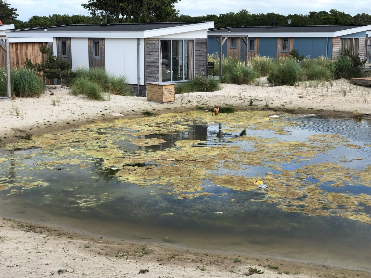 twistedhead_a's tweet photo. @Roompot esteemed team we have just arrived in Ameland and the accomodation is great!  Unfortunately, the small lake is contaminated with garbage and plastic. 😱 Could you eliminate that? Yes? https://t.co/JOHmT6LofG