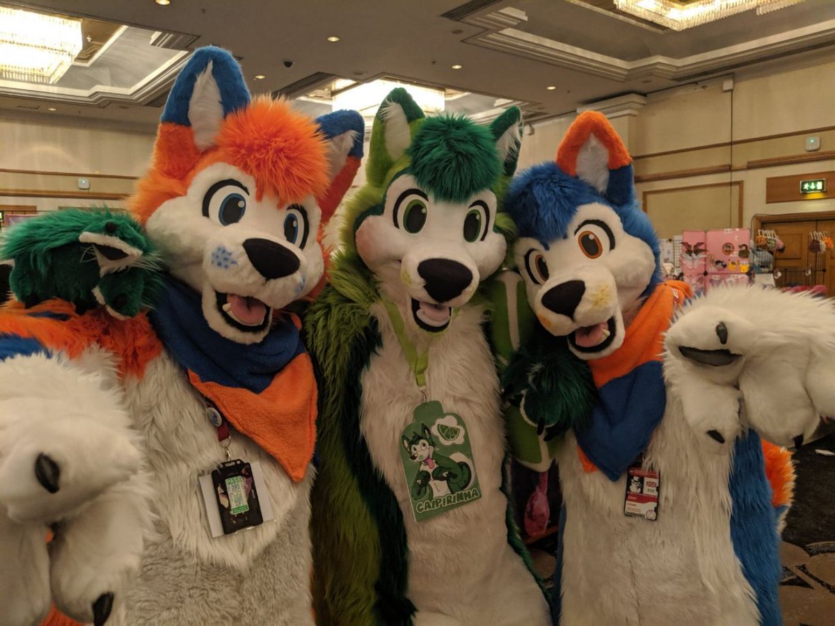 It's #FursuitFriday (but this picture wasn't taken on a Friday)!

It includes <a href="/cocktailhusky/">Caipirinha</a> (but the picture wasn't taken by him)!

The picture was taken by @NeoXIII (but he's not in the picture).

We're all #DumbDogs (except @NeoXIII who is a cat)!