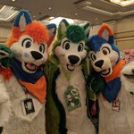 Photo by Botherdogs (@bthrdgs)