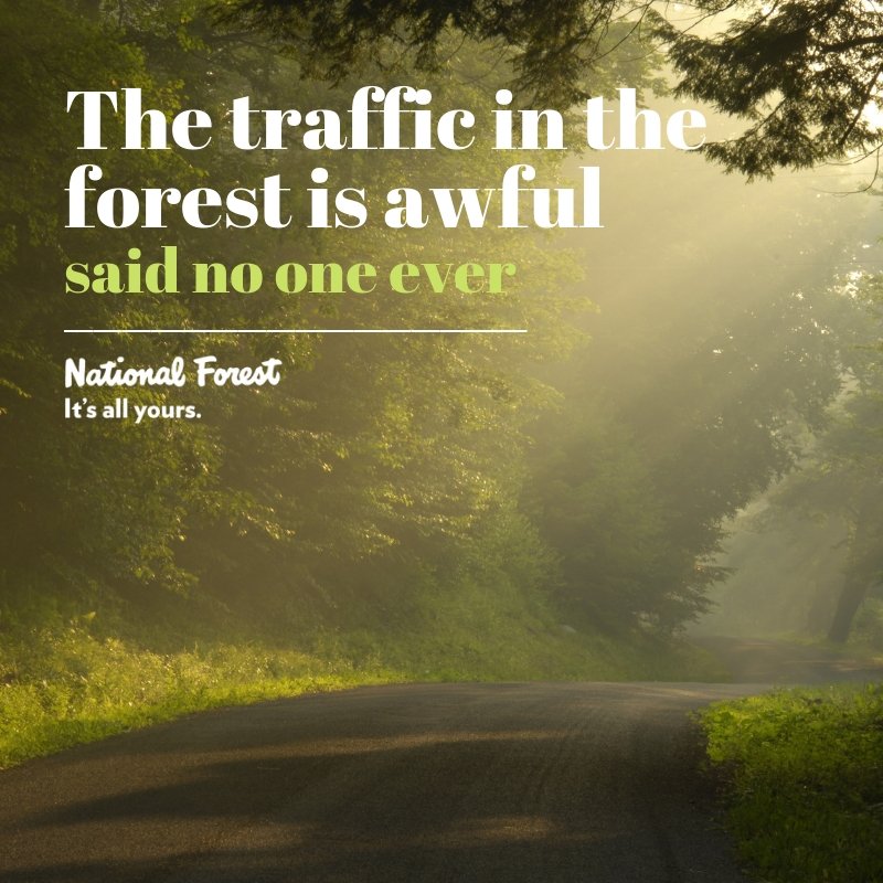 Allegheny National Forest (@allegheny_nf) on Twitter photo Come enjoy the <a href="/Allegheny_NF/">Allegheny National Forest</a> and escape the stresses of the city. It's all yours. Learn more at fs.usda.gov/recmain/allegh… Come enjoy the <a href="/Allegheny_NF/">Allegheny National Forest</a> and escape the stresses of the city. It's all yours. Learn more at fs.usda.gov/recmain/allegh…