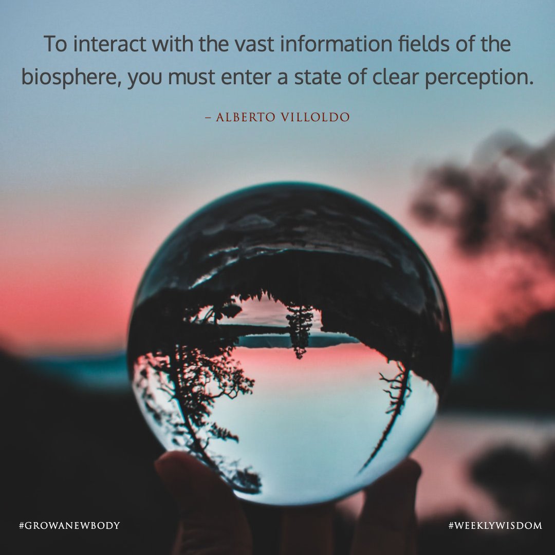 Grow A New Body tweet media