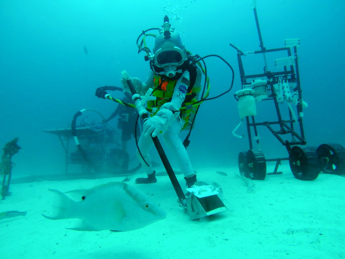 Dorota Budzyn tweet media