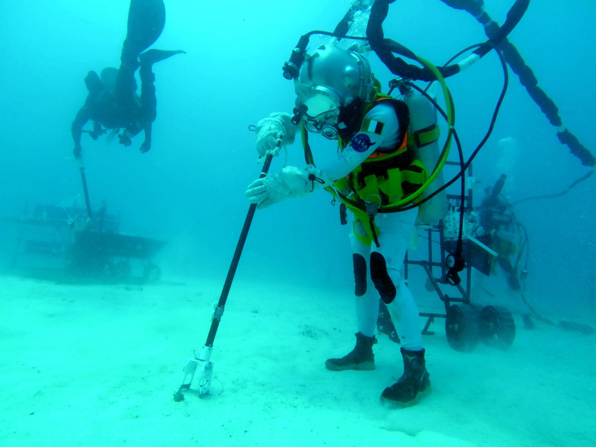 Dorota Budzyn tweet media