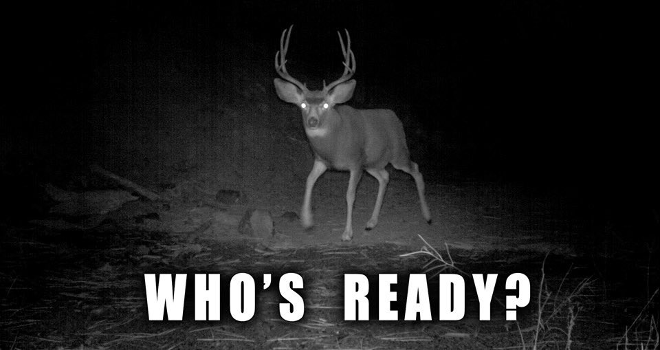 BowhuntAmerica's tweet photo. We are!! https://t.co/PDgpu37ifi