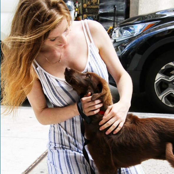 petcolove's tweet photo. Fostering for the first time? Long-time foster? Share your lifesaving story using #MyFirstFoster! https://t.co/LysstQPIUX