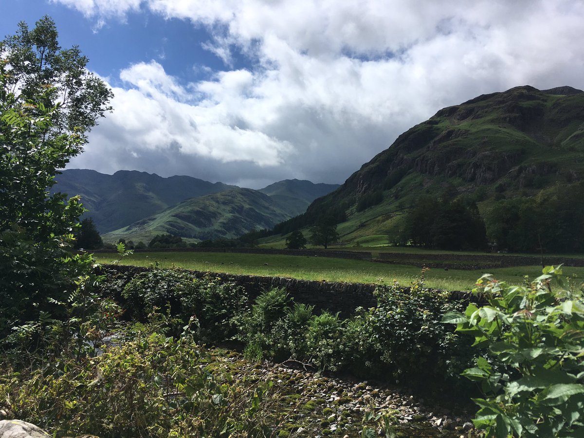 RC Brady tweet media