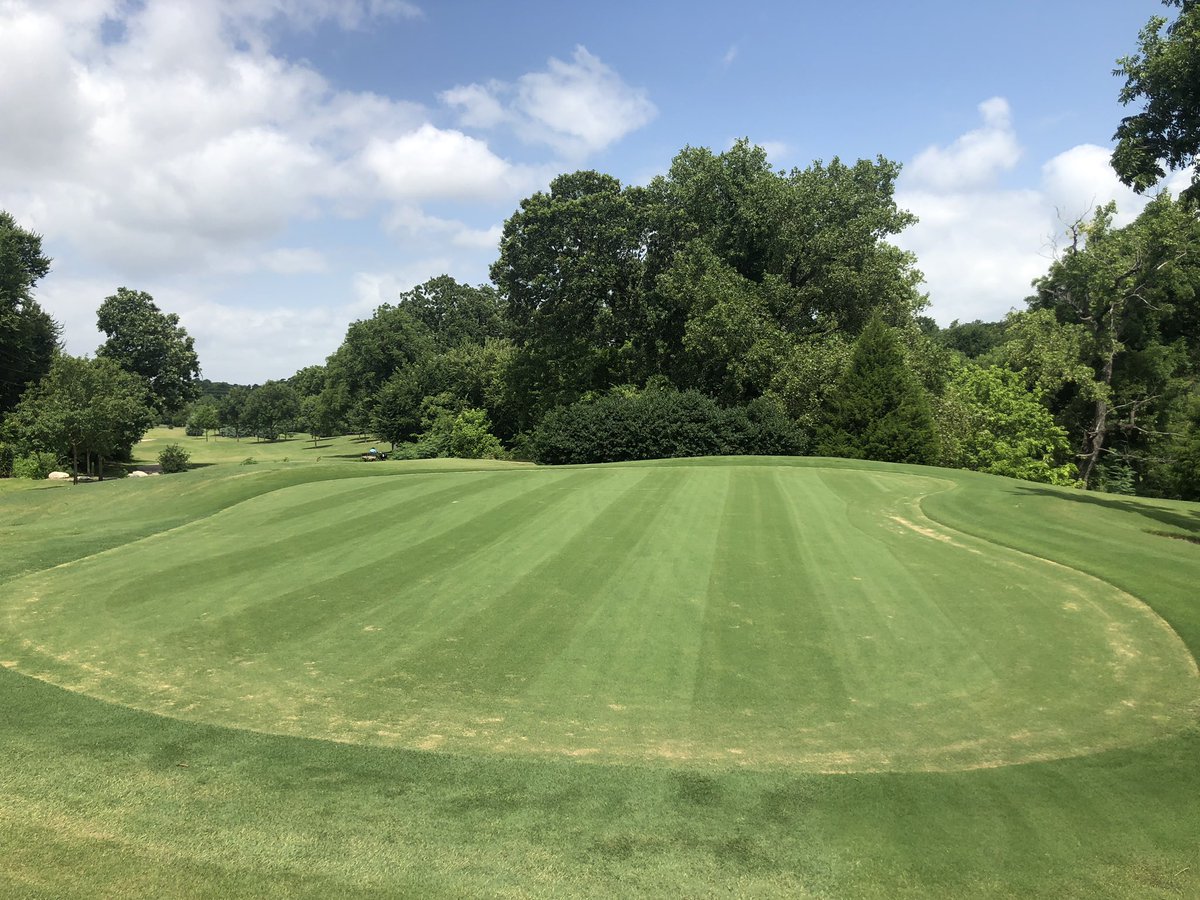 Not too shabby for 38 days old 🤔😎👍🏼. HOC now at .140 #makingprogress