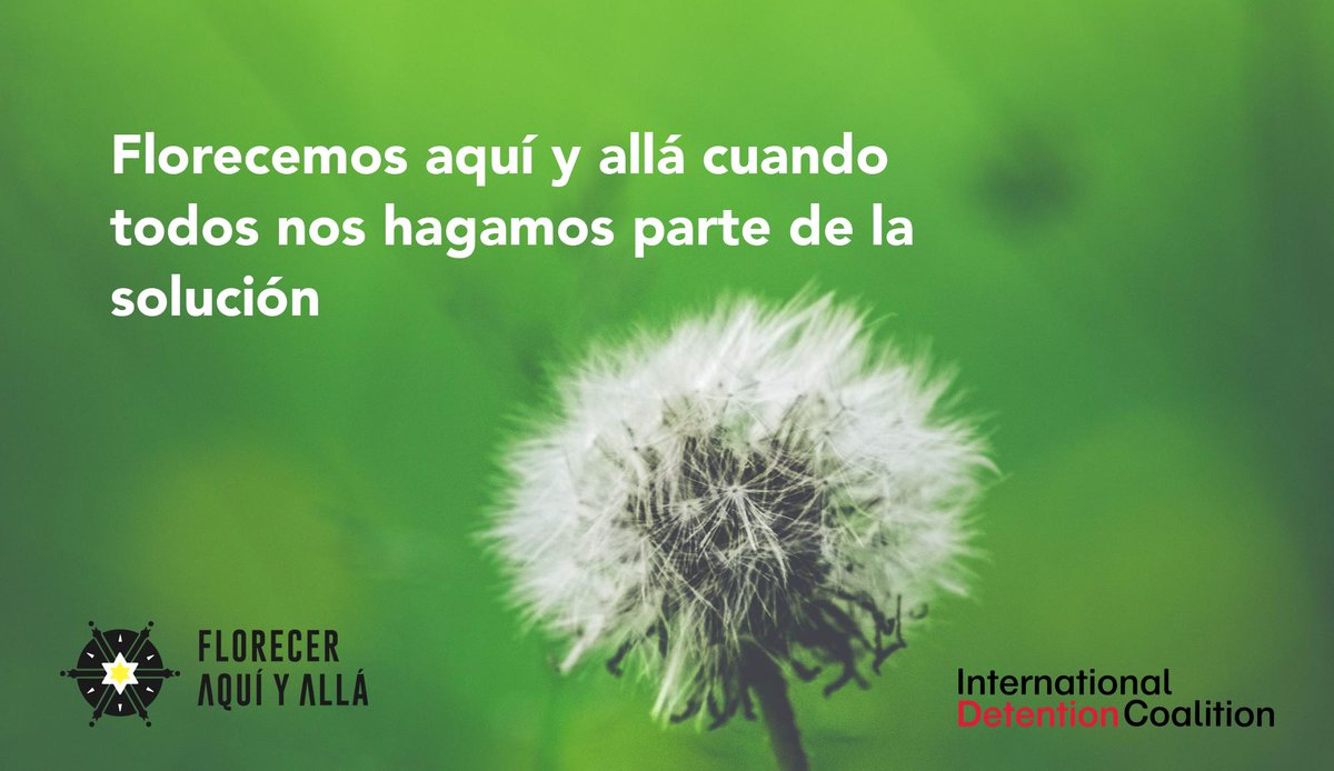 #México puede ser un modelo a seguir si invierte en cambios estructurales para la movilidad con derechos. Garantizar la inclusión para migrantes también garantiza los derechos de todxs. #FlorecerAquíyAllá #ExistenAlternativas