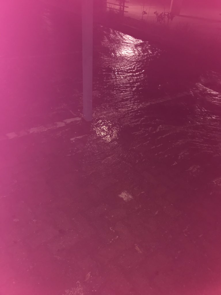 Jill Hagley Jillhagley Twitter