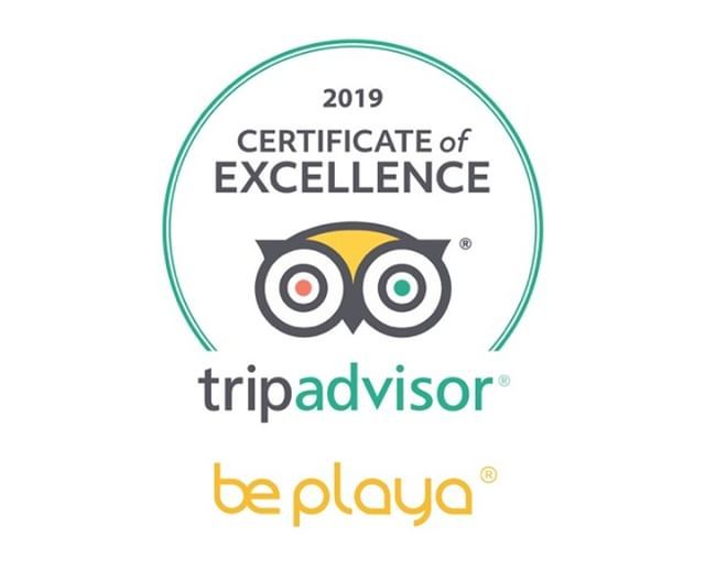 BePlayaHotel's tweet photo. We are thrilled to have been selected, once again, as a top hotel in Playa del Carmen!
@tripadvisor 2019 Certificate of Excellence is the result of the hard work and love of our team, and the gratitude of our guests. Thanks to all who made this possible!

#BePlaya #BePlayaHo… https://t.co/0zhfti8GuJ