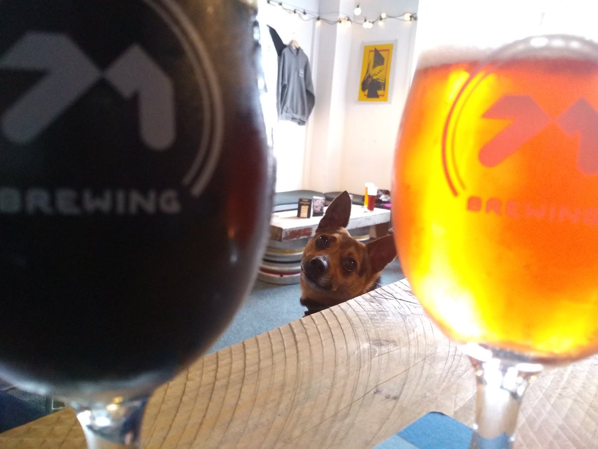 whatisMash's tweet image. What's the best thing about only working with the beer industry? 

Taproom dogs.

No, sorry. It's the beer. Yeah, the beer.