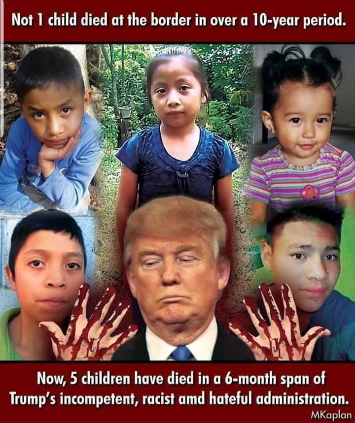 roz233's tweet photo. @np1959 @Acosta Webcam Dismantled For the Day so No one Could See #Trumps Crowd Size.
Hes So Senitive. Wish he was so Sensitive When It Came To Kids, Babies in CAGES. Damn This Country Has Gone To Pot thanks to #HitlerInChief @MSNBC @CNN https://t.co/JwfZpd8xVO