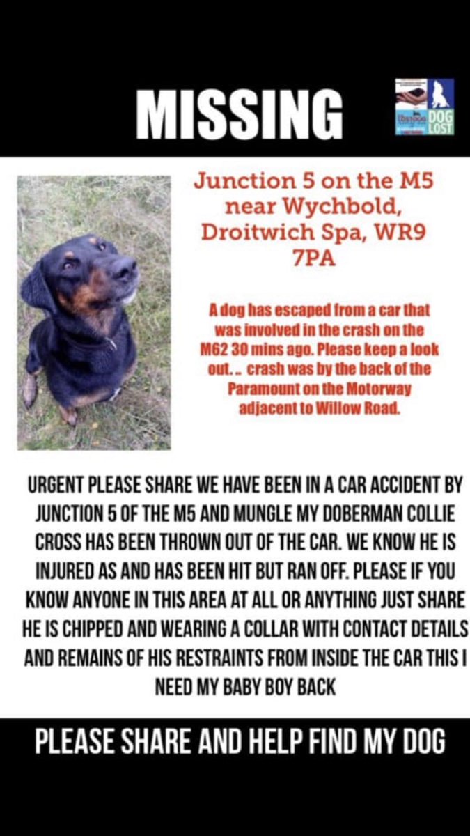 dunn_terrylee's tweet photo. URGENT @SheridanAlcock @MissingPetsGB https://t.co/iMyY82fD0W