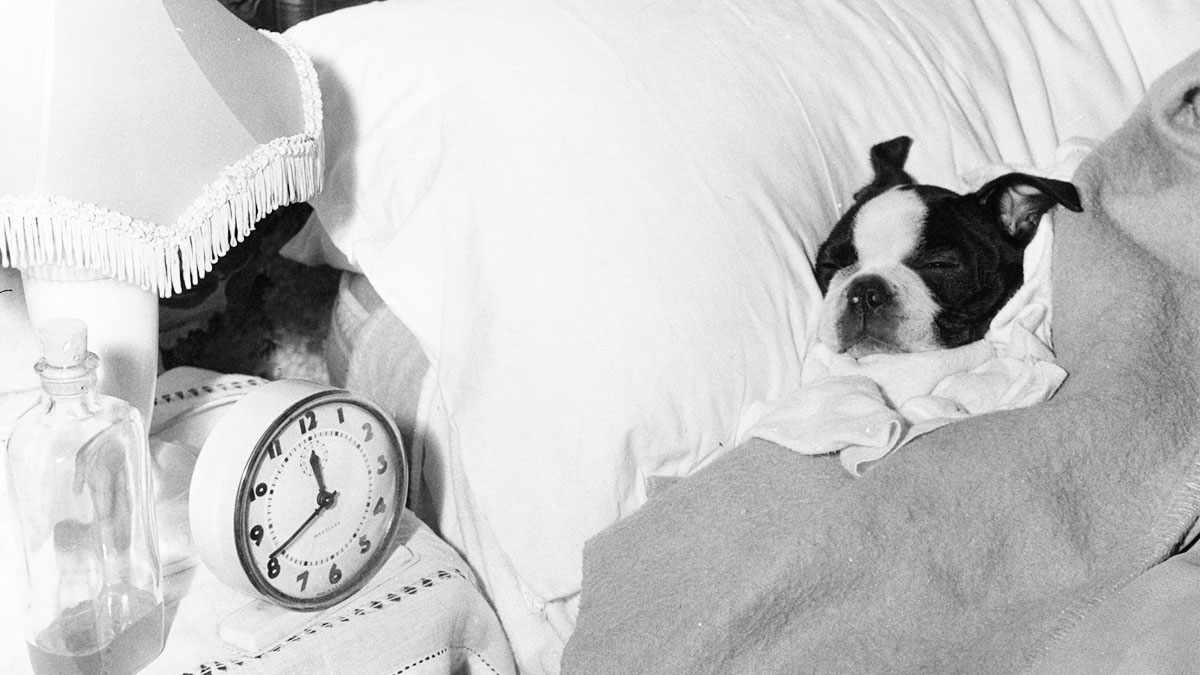 Feeling sluggish or tired after yesterdays celebration?
Eat a healthy breakfast, pack a lunch, &amp; bring nutritious snacks to fend off an afternoon crash. Drink lots of water throughout the day &amp; take a 20-30 min to help feel refreshed!
#postcelebration #needenergizing #wakeup #shs