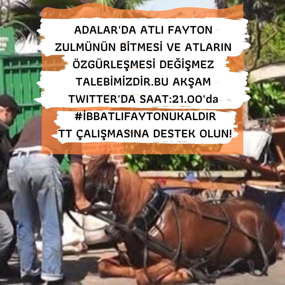 Bu akşam atlı faytonların kaldırılması için Twitter’da TT çalışması yapılacak. Saat 21:00’dan itibaren kullanılacak etiket bu: 

#İBBATLIFAYTONUKALDIR 

Lütfen destek verin! 

<a href="/ekrem_imamoglu/">Ekrem İmamoğlu</a> <a href="/istanbulbld/">İstanbul Büyükşehir Belediyesi</a> <a href="/ErdemGulAdalar/">Erdem Gül</a> <a href="/adalarbld/">Adalar Belediyesi</a>