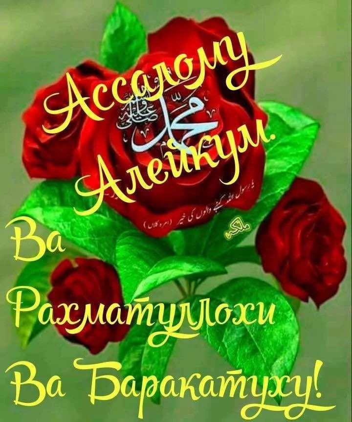 Салам алейкум баракату. Открытки Салам алейкум. Во алейкум Салам ва РАХМАТУЛЛАХИ ва баракатух. Стикер ваалейкум Ассалам. АС-саляму алейкум.