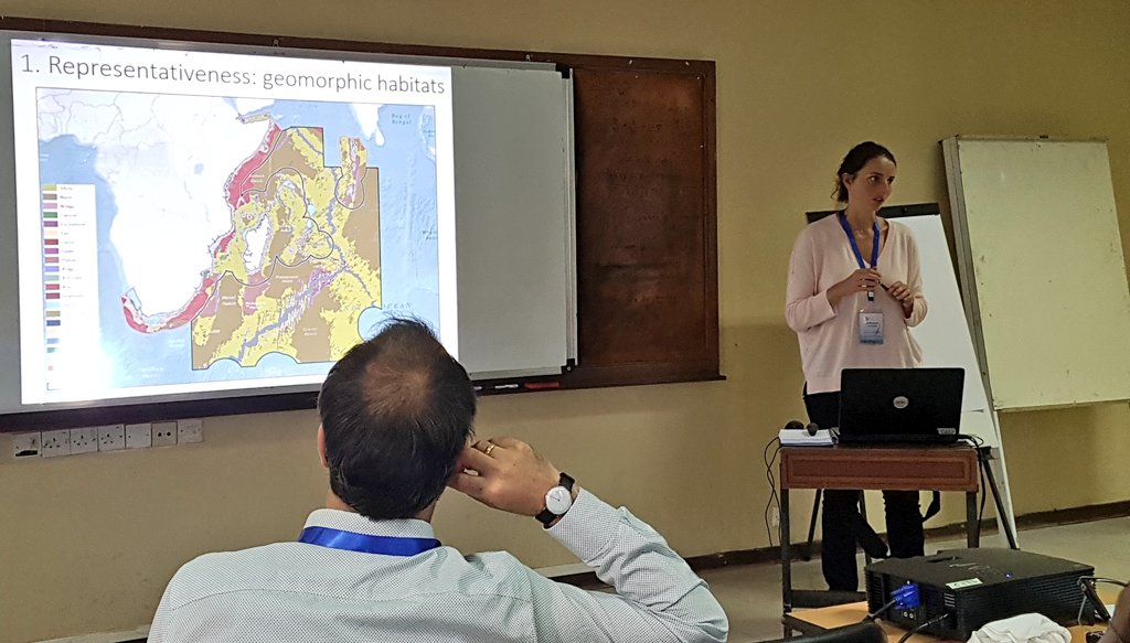 aboudjumbe's tweet image. .@steph_dagata @Macquarie_Uni provided an interesting collection of ongoing scientific studies on biodiversity connectivity &amp;amp; climate impacts along #ABNJ #BBNJ Marine Spatial Conservation alignment at  WIO Ocean Governance session of @wiomsa @NCSecretariat #WIOMSASYMPOSIUM2019