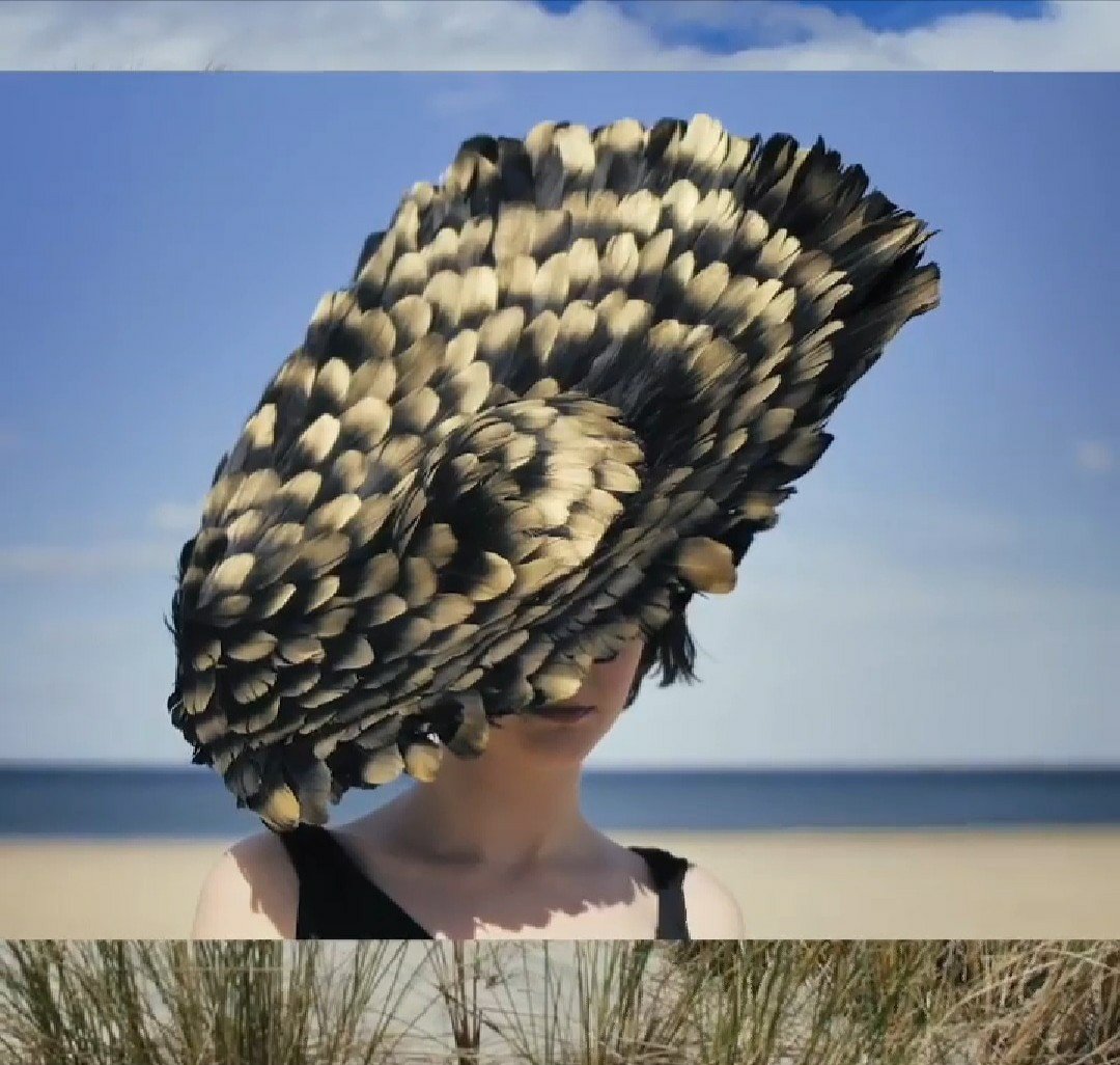 CIFDtweets's tweet photo. Feathers from @aoifeharrison #milliner #irishmilliner #hat #hatfortheraces #bestdressed #create19 #irishdesign #CIFD https://t.co/ENndjN6JDD