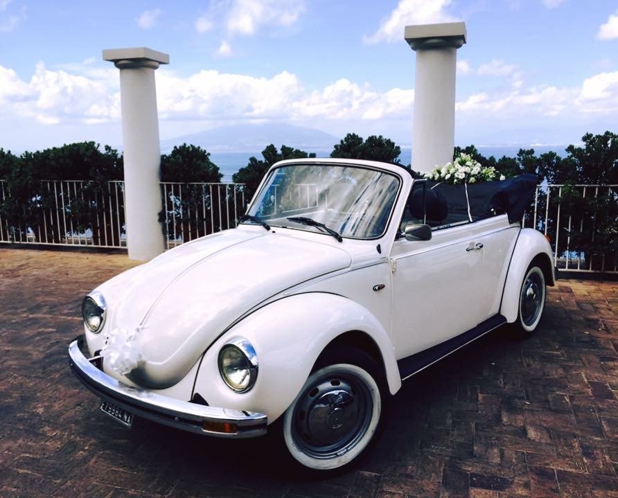EnchantingSorr's tweet photo. For your wedding in #MassaLubrense #SorrentinePeninsula or #AmalfiCoast, choose us!
Many #weddingcars and #carriages to choose between, special vehicles like the Vw Minibus Bar, Hen &amp; Stag Party and much other
https://t.co/jA9EVwl0Pr
📧 info@enchantingsorrento.com ☎️+393334210054 https://t.co/ybkhBSkirP